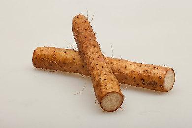 恐怖动作游戏《枯萎：生存》上架Steam 打怪寻宝